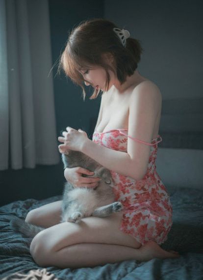 纸箱战机wars