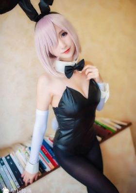 物语系列免费观看完整版