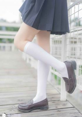 视频在线观看免费版
