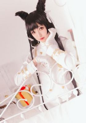 电视剧白夜破晓免费观看
