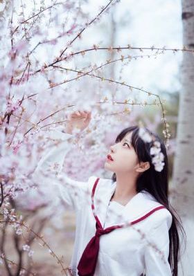 战火中的花蕾