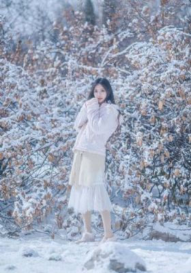 舍不得星星电视剧免费观看
